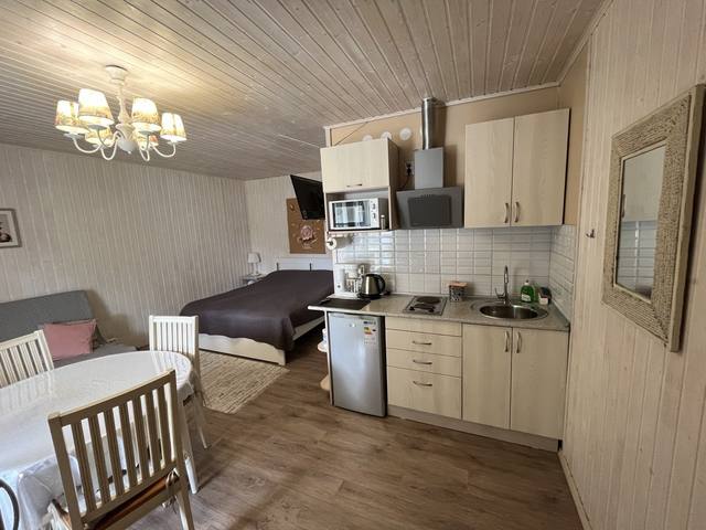 Семейный номер: кровать, диван и кухня